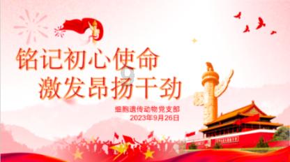 480000前怎么保留一位小数？游戏画面